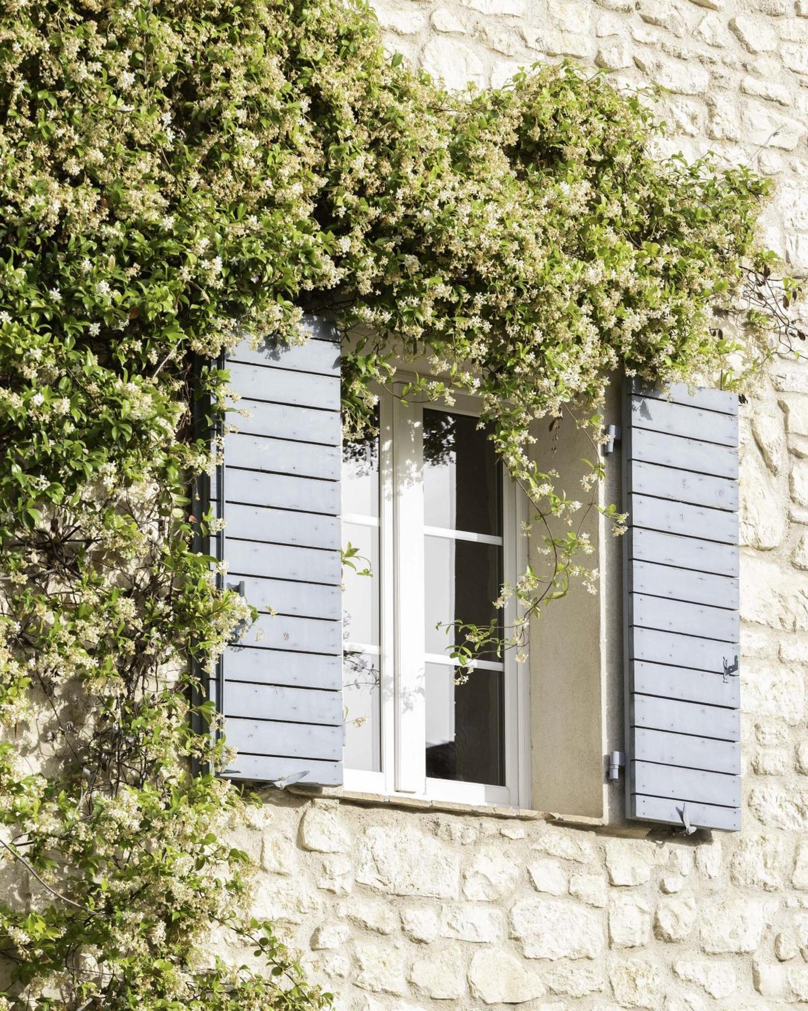 Domaine Du Moulin De Villefranche ペルヌ・レ・フォンテーヌ エクステリア 写真