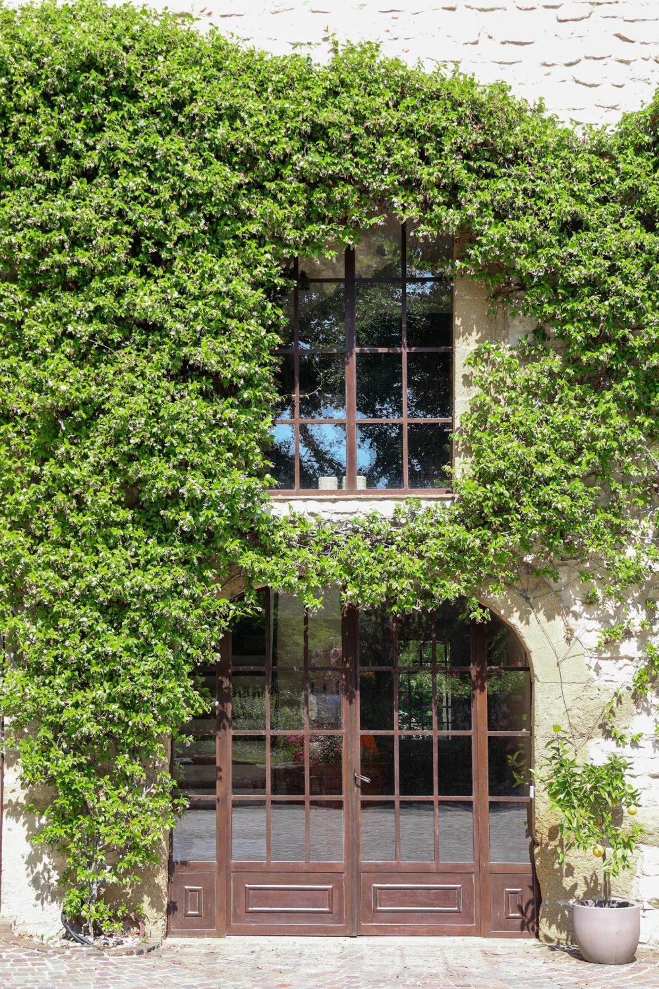 Domaine Du Moulin De Villefranche ペルヌ・レ・フォンテーヌ エクステリア 写真