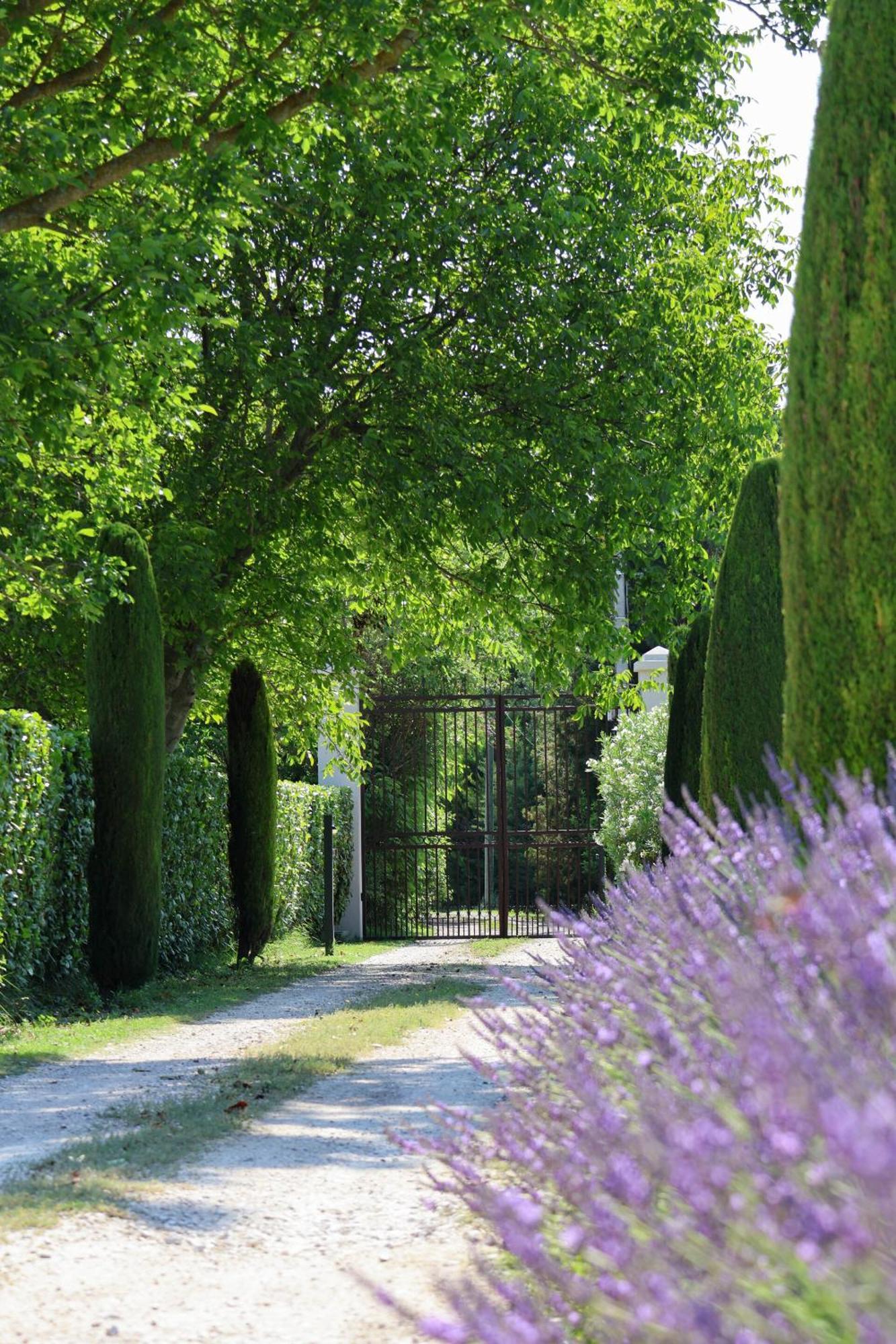 Domaine Du Moulin De Villefranche ペルヌ・レ・フォンテーヌ エクステリア 写真