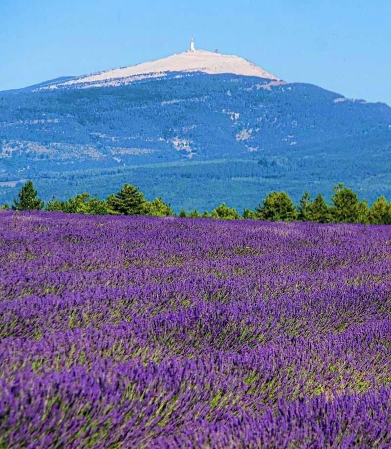 Domaine Du Moulin De Villefranche ペルヌ・レ・フォンテーヌ エクステリア 写真